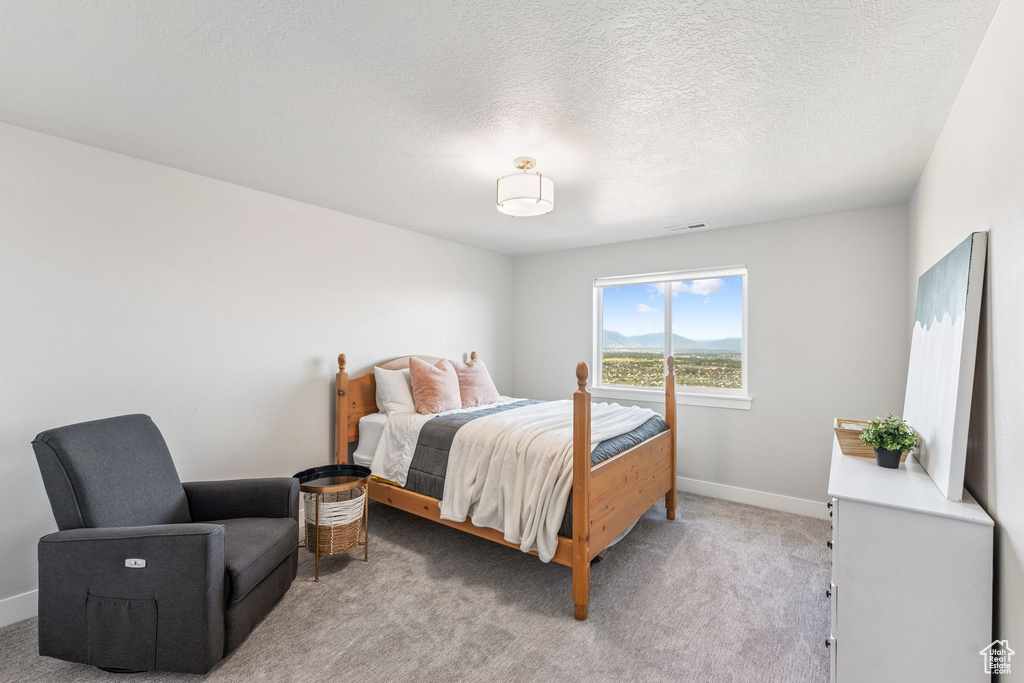 4374 N SUMMER VIEW DR Lehi, UT 84048