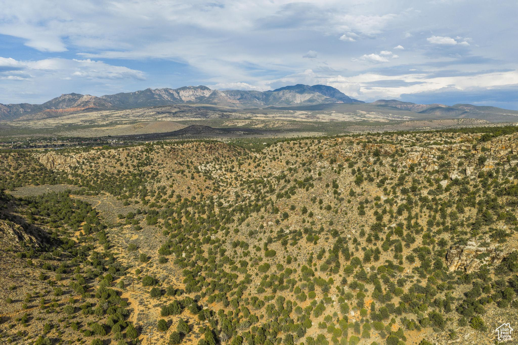 1  UNDEFINED Dammeron Valley, UT 84783