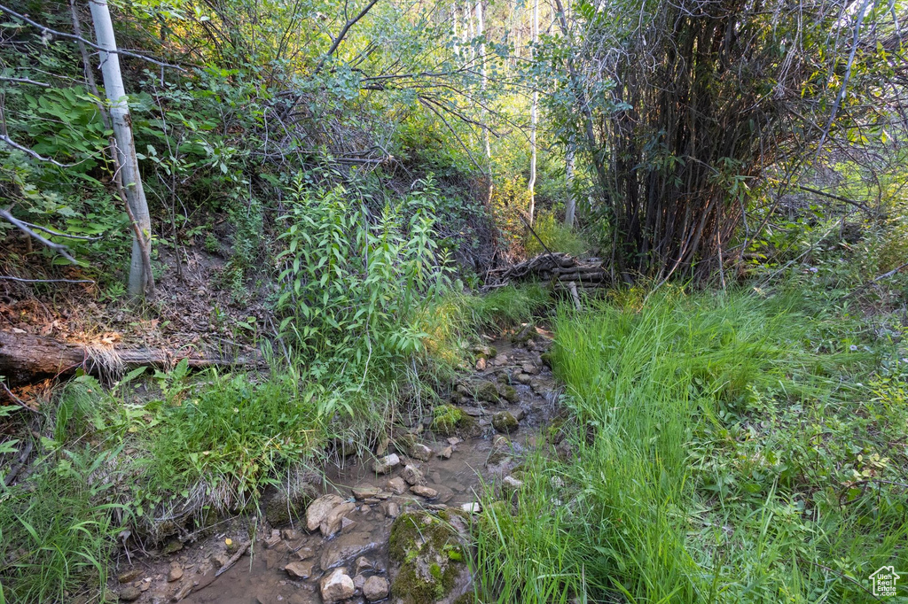20261 N 14390 E Mt Pleasant, UT 84647