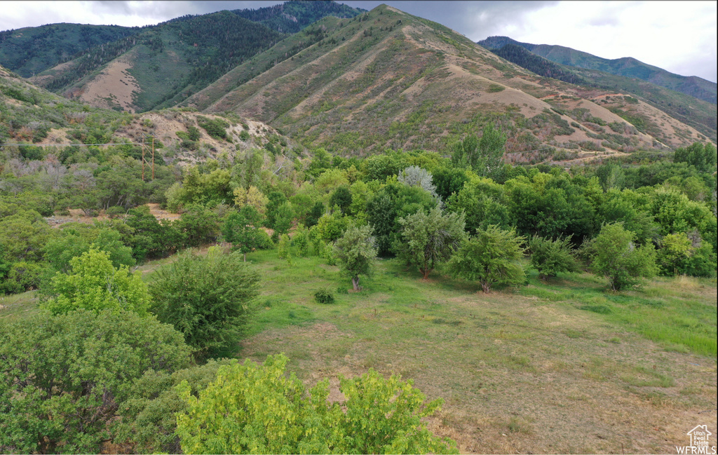 550 N 2000 E Mapleton, UT 84664