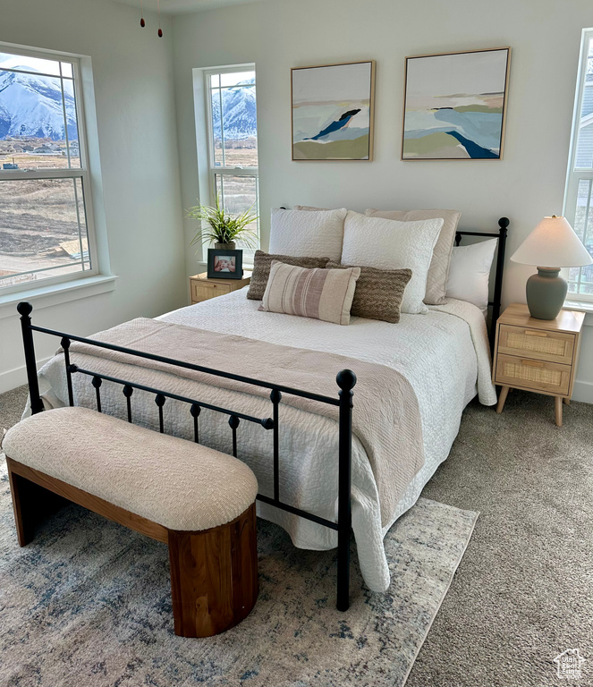 1731 N NORTHVIEW LN Salem, UT 84653