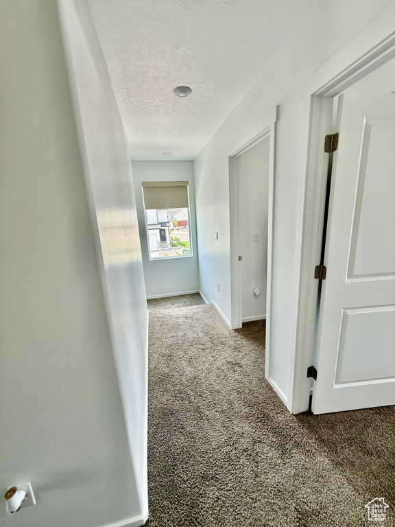1934 N TEN HENS AVE #1140 Tooele, UT 84074