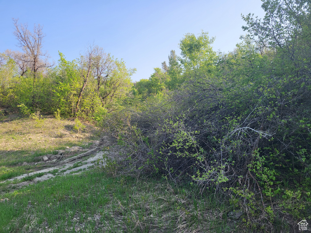 6151  CREEKSIDE DR Mountain Green, UT 84050