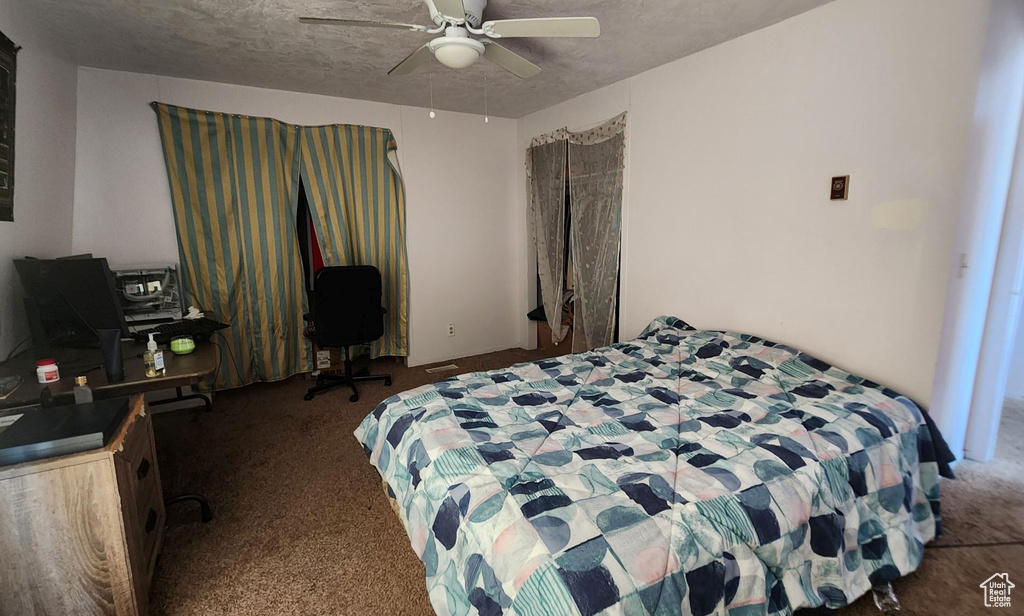 Photo 8 for MLS #2102257 at 4520 S Julep Dr