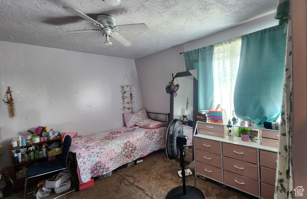 Photo 9 for MLS #2102257 at 4520 S Julep Dr