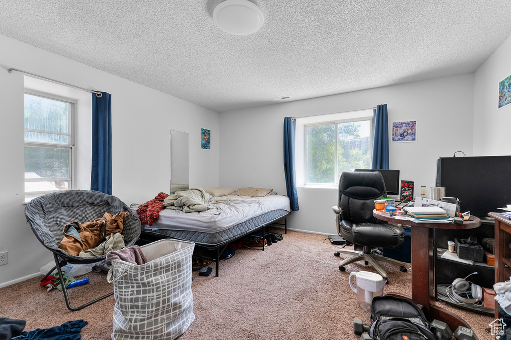 1243 E SIESTA DR Cottonwood Heights, UT 84093