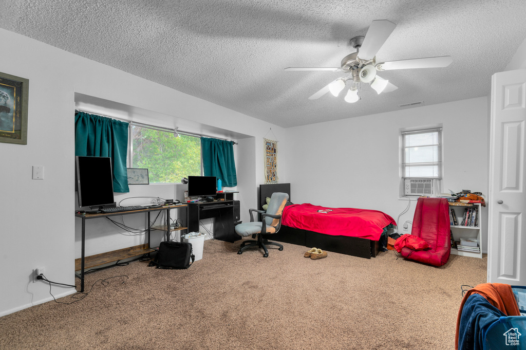 Photo 32 for MLS #2102263 at 1243 E Siesta Dr
