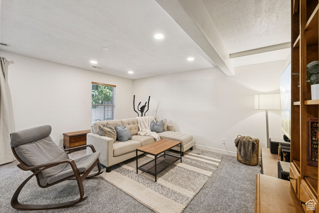 Photo 21 for MLS #2102296 at 441 E Braidhill Dr