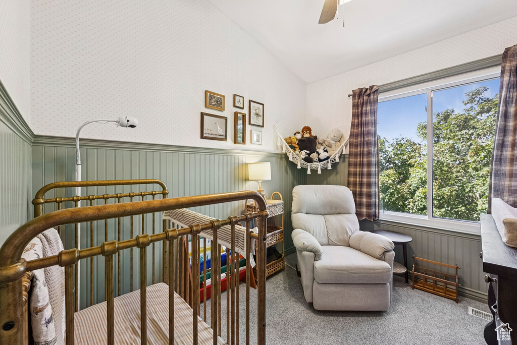 Photo 19 for MLS #2102296 at 441 E Braidhill Dr