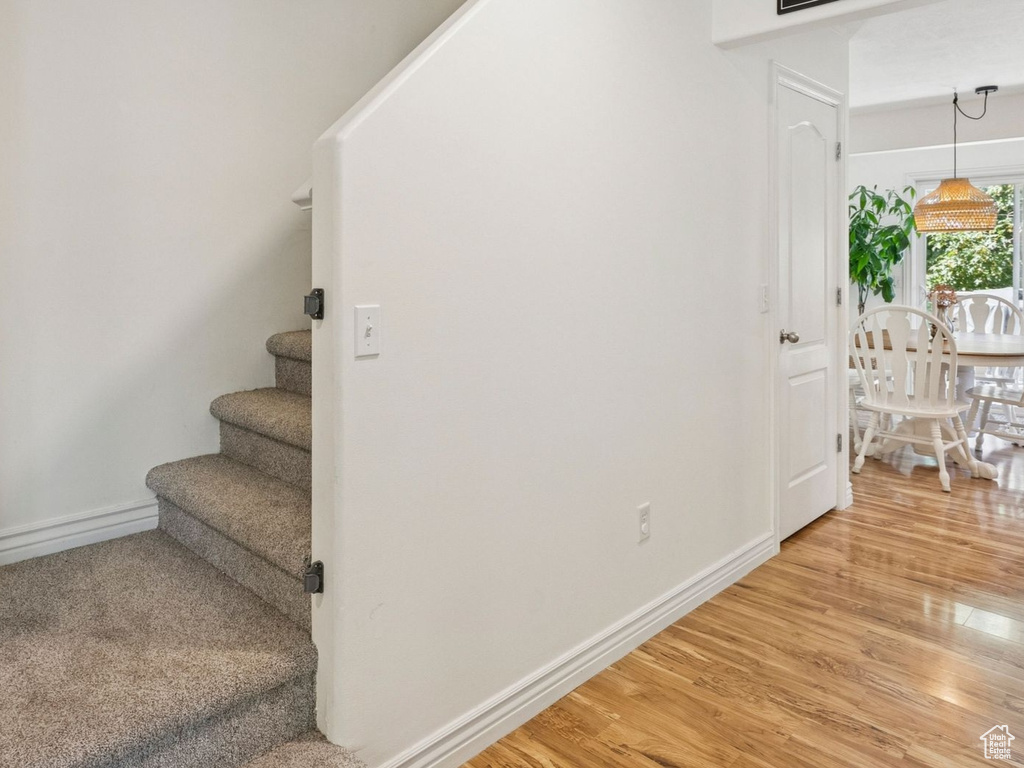 Photo 6 for MLS #2102296 at 441 E Braidhill Dr