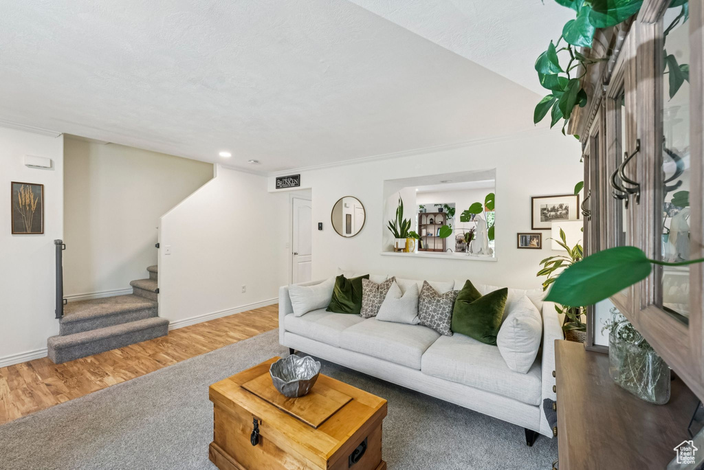 Photo 5 for MLS #2102296 at 441 E Braidhill Dr