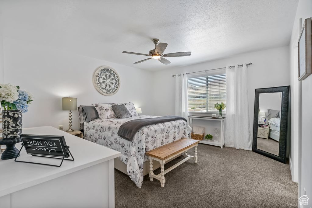 Photo 12 for MLS #2102345 at 4132 N Poplar St