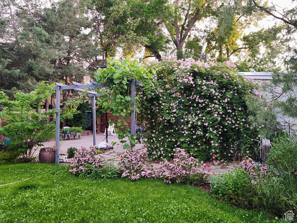 8191 S 1000 E Sandy, UT 84094