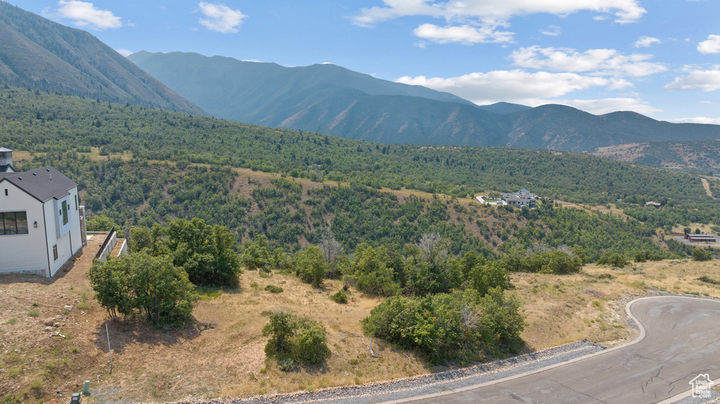 1400 S EAGLE NEST DR Woodland Hills, UT 84653