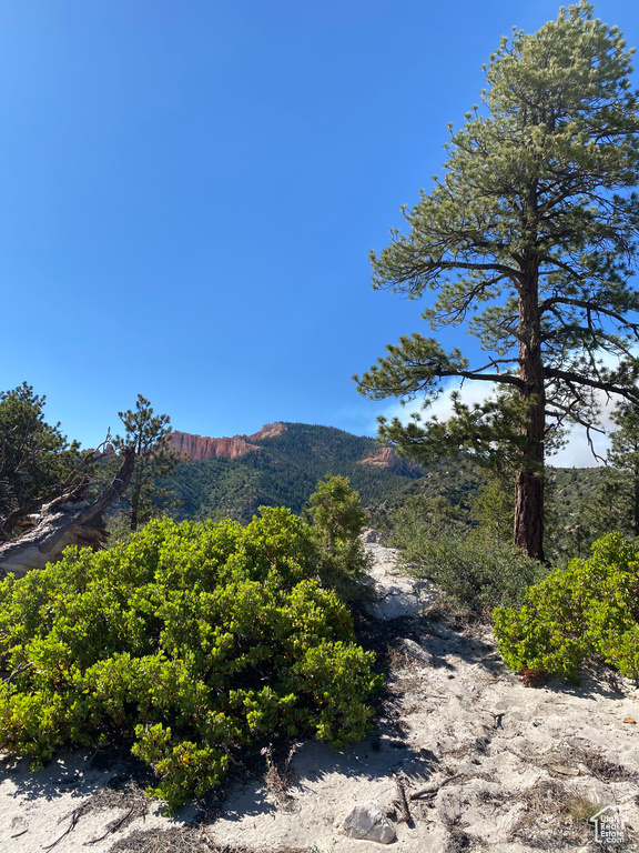 186  TRAILS END DR Alton, UT 84710