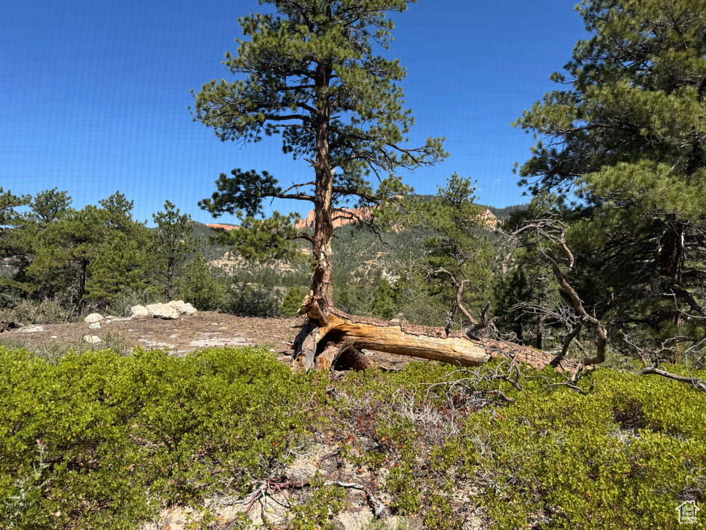 186  TRAILS END DR Alton, UT 84710