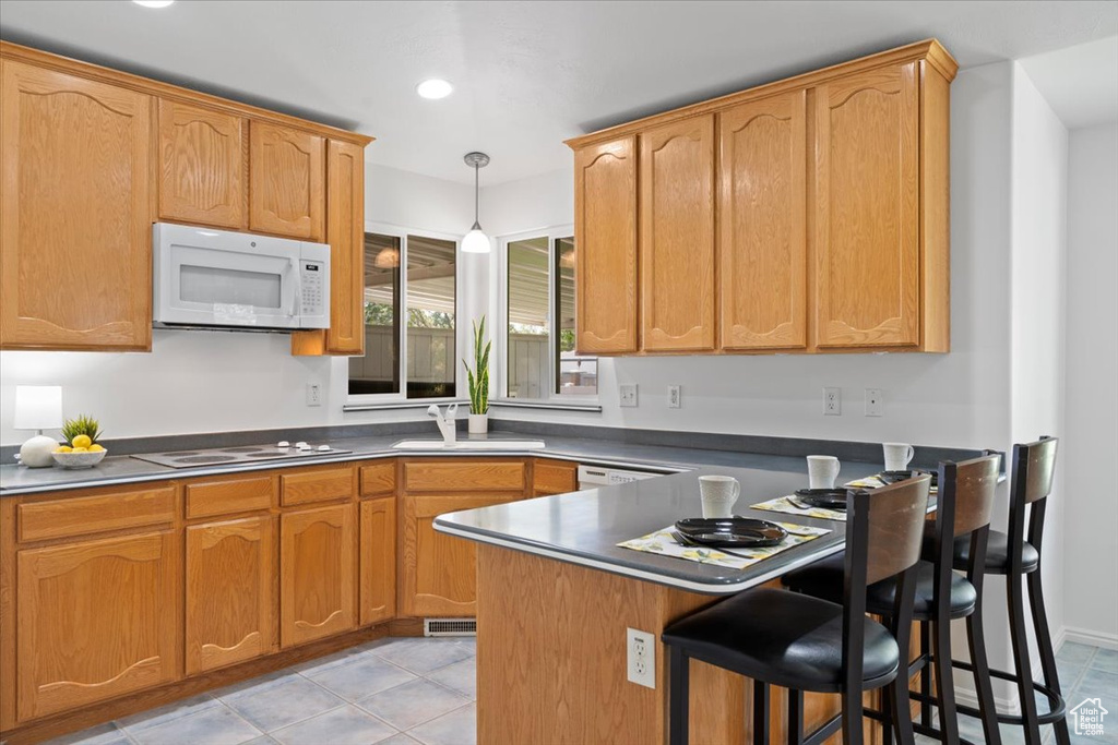 Photo 14 for MLS #2102448 at 9182 S Wisteria Way