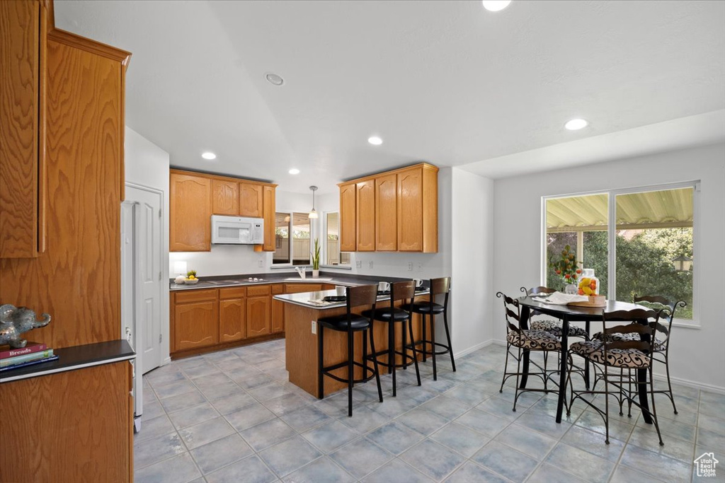 Photo 9 for MLS #2102448 at 9182 S Wisteria Way