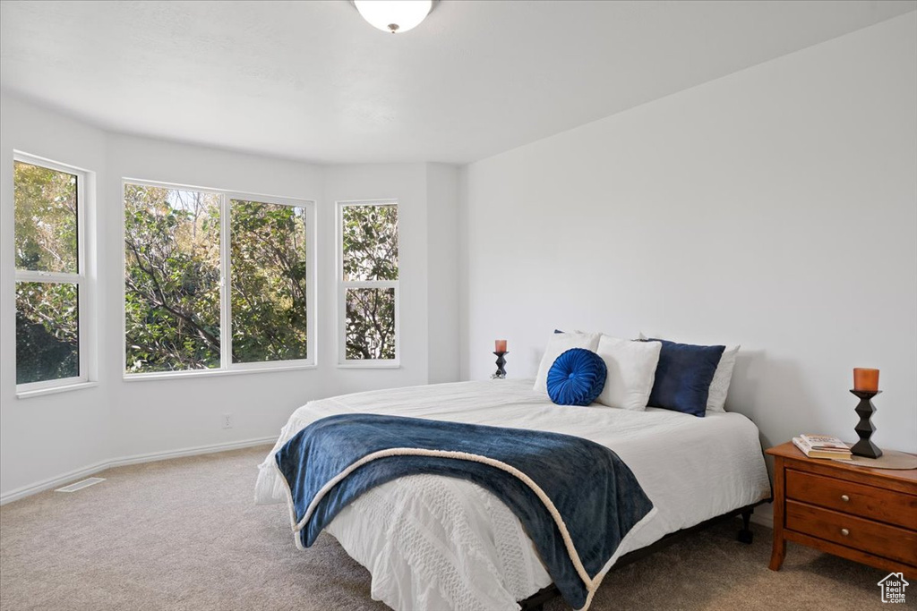 Photo 23 for MLS #2102448 at 9182 S Wisteria Way