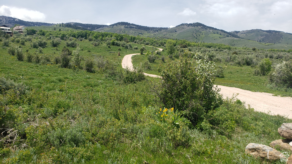  Fish Haven, ID 83287