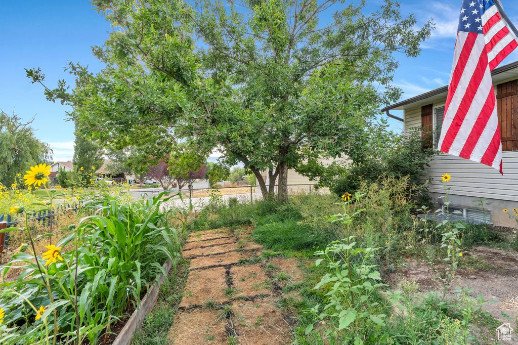 Photo 11 for MLS #2102481 at 18517 Carter Cir