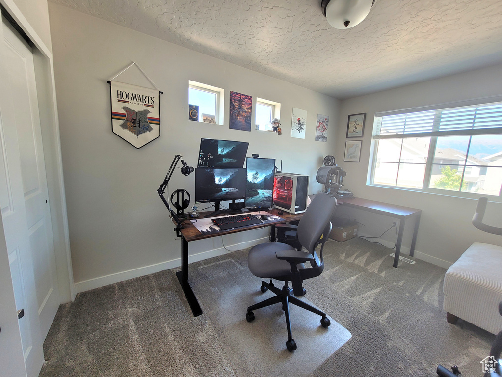 Photo 13 for MLS #2102541 at 37 S Tule Valley Ct