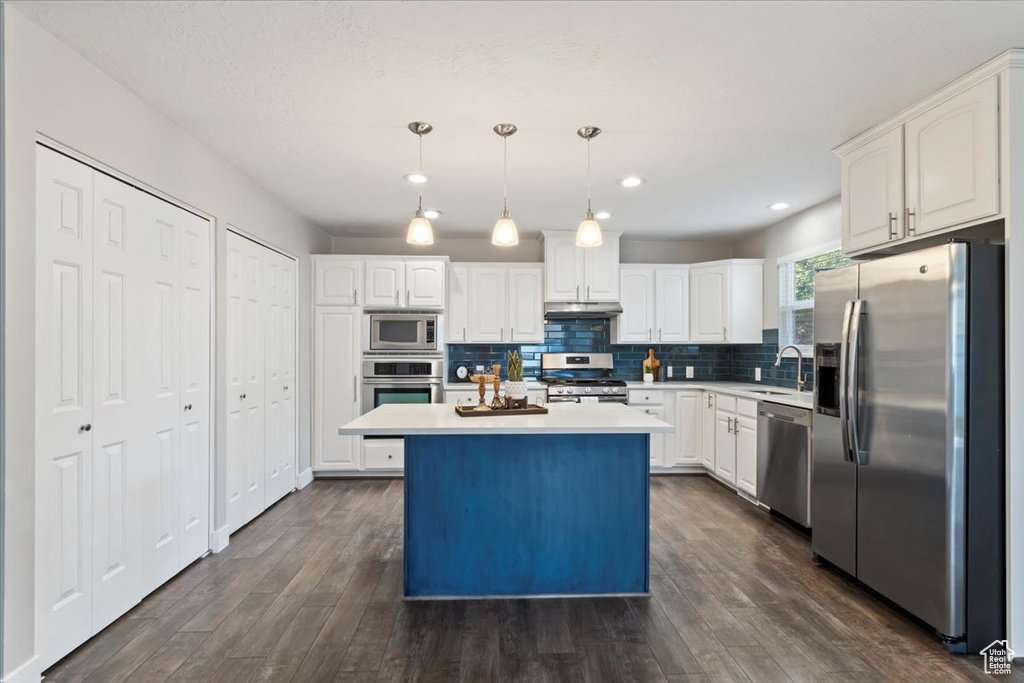 Photo 6 for MLS #2102542 at 4089 S Edith Grove Ln