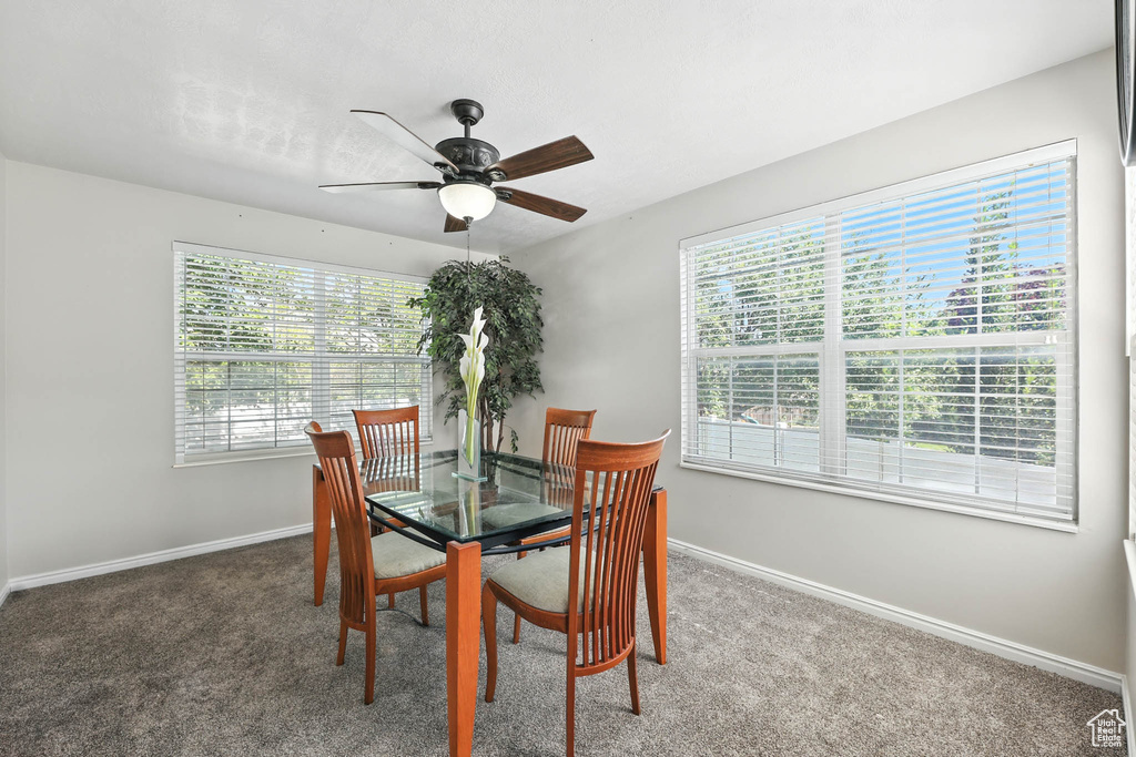 Photo 17 for MLS #2102566 at 1178 N Reveille Cir