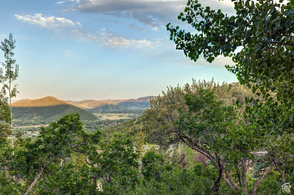 4830 BEAR VIEW DR Park City, UT 84098