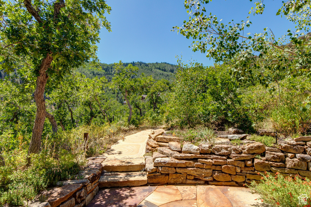 4830 BEAR VIEW DR Park City, UT 84098