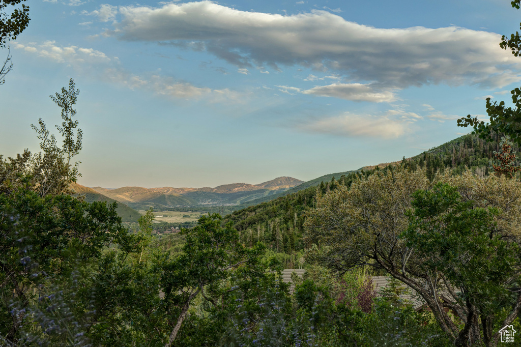 4830 BEAR VIEW DR Park City, UT 84098