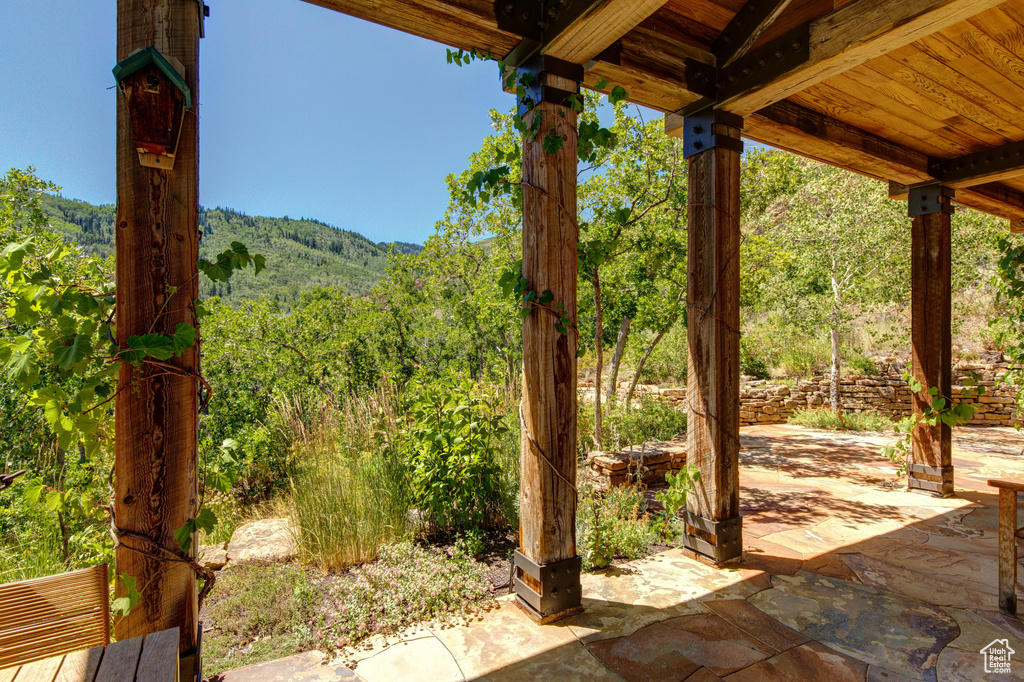 4830 BEAR VIEW DR Park City, UT 84098