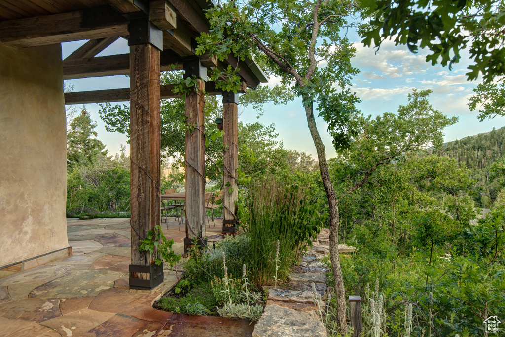 4830 BEAR VIEW DR Park City, UT 84098