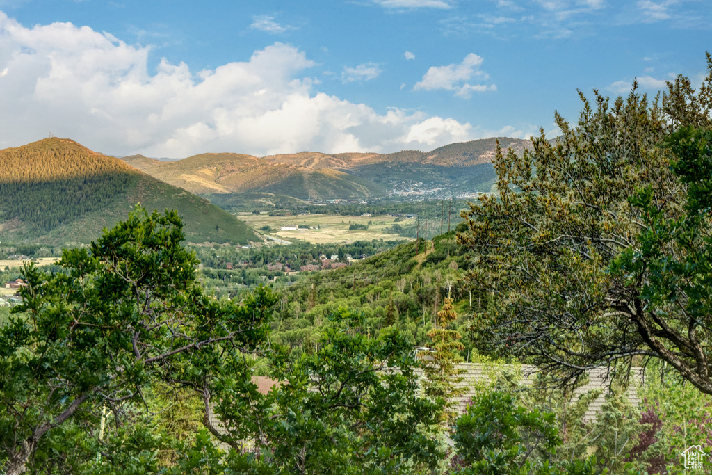 4830 BEAR VIEW DR Park City, UT 84098