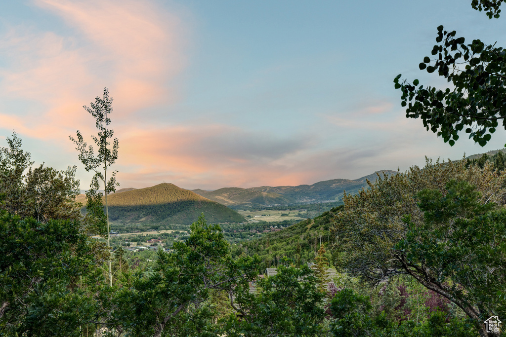 4830 BEAR VIEW DR Park City, UT 84098