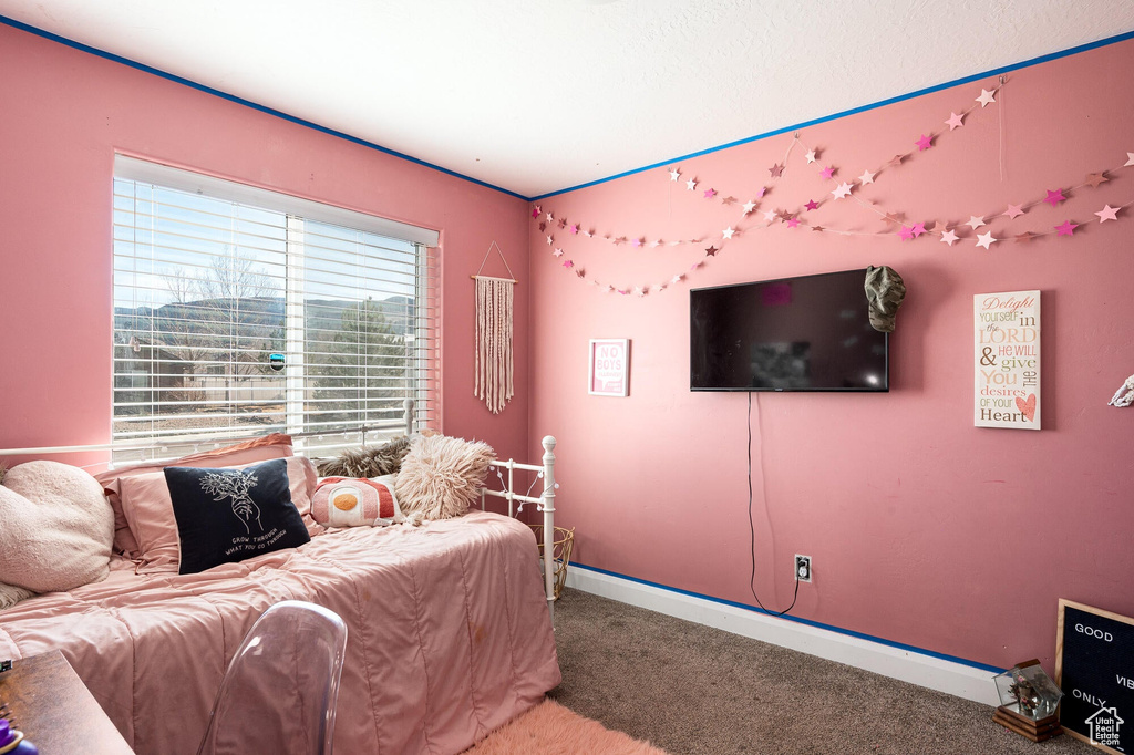 Photo 14 for MLS #2102610 at 5203 N Tomahawk Dr
