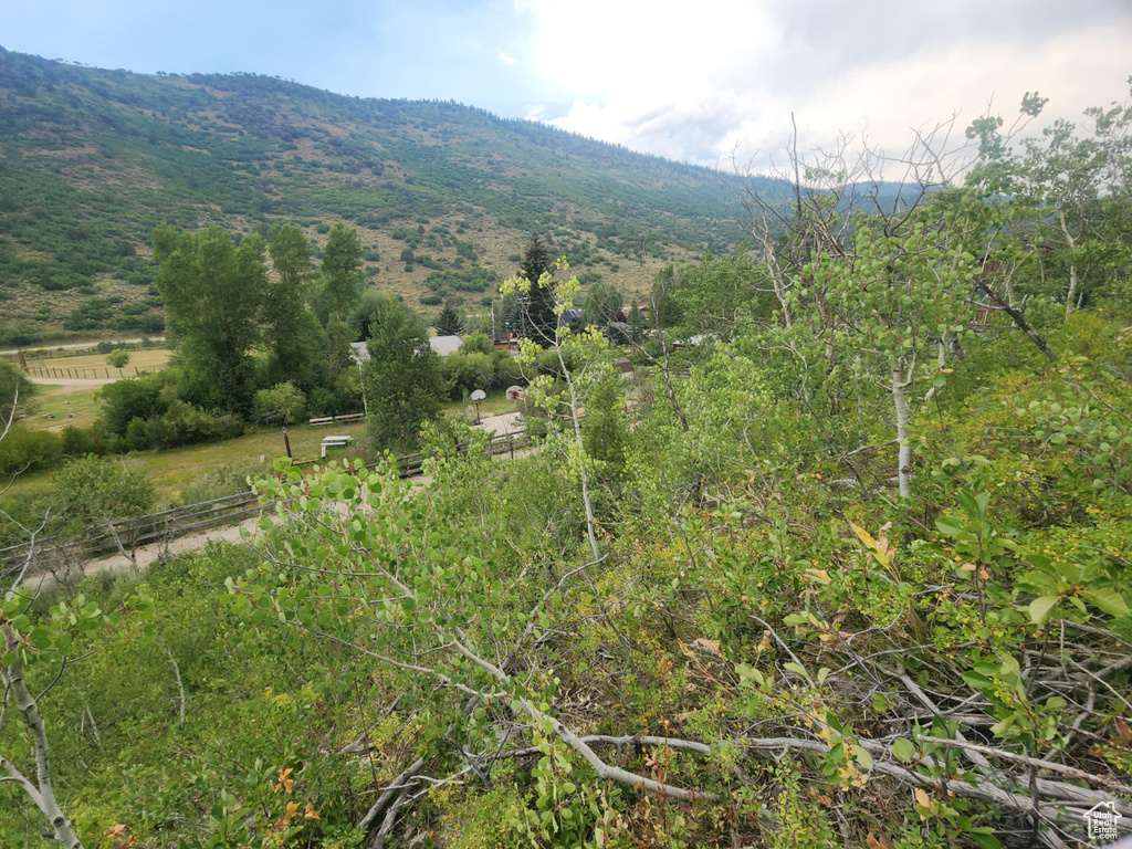 4060 E WILDLIFE WAY Kamas, UT 84036
