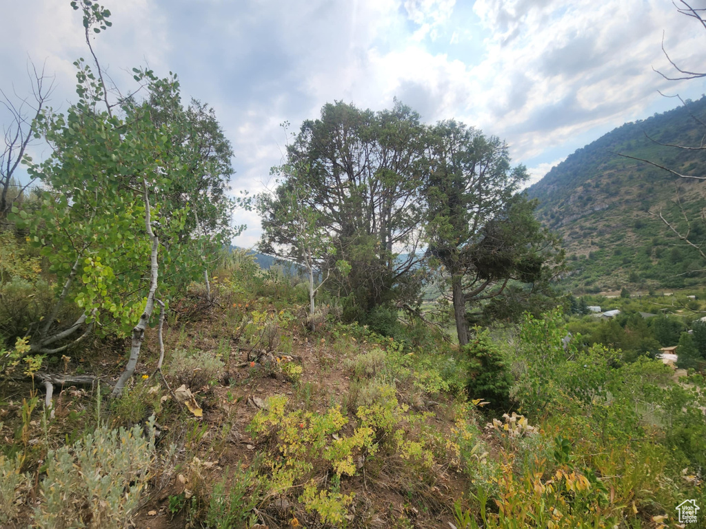 4060 E WILDLIFE WAY Kamas, UT 84036