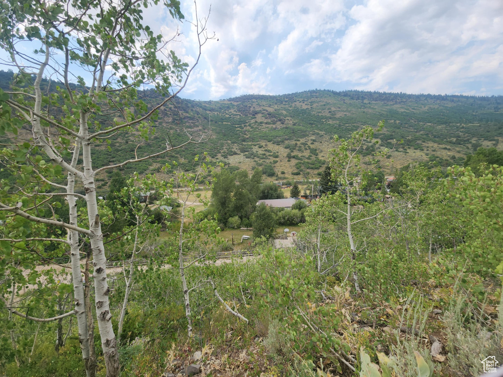 4060 E WILDLIFE WAY Kamas, UT 84036