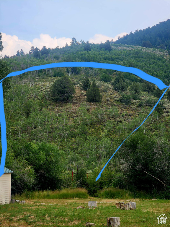 4060 E WILDLIFE WAY Kamas, UT 84036