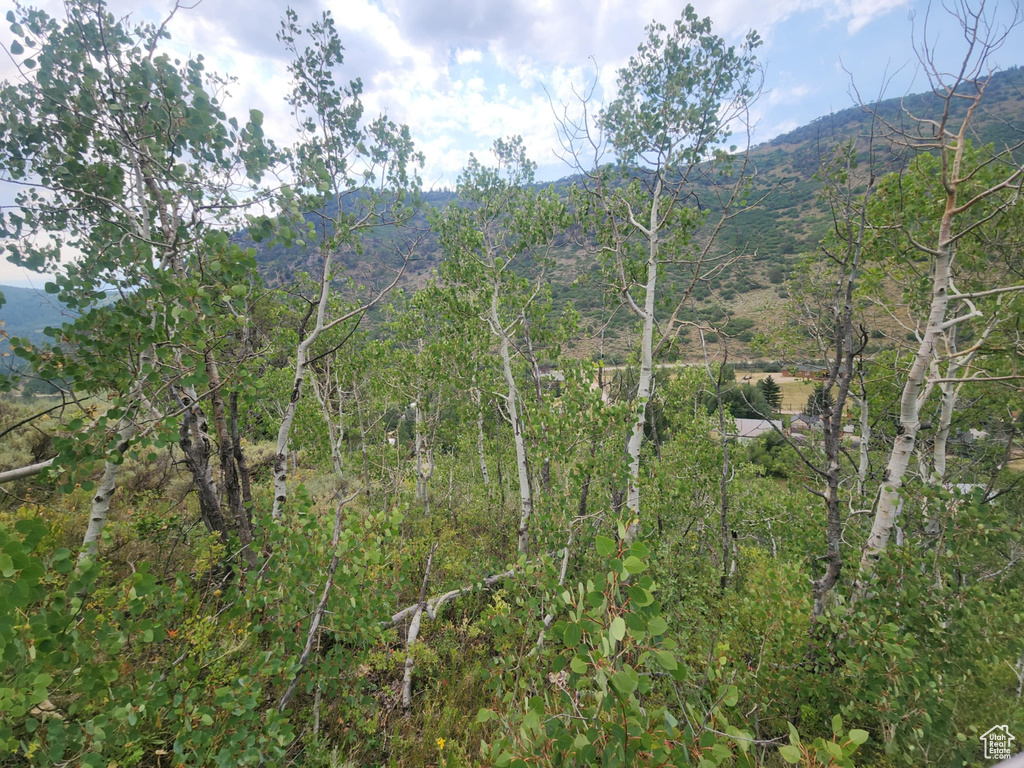 4060 E WILDLIFE WAY Kamas, UT 84036