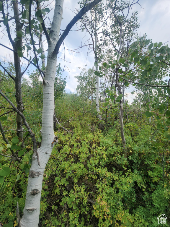 4060 E WILDLIFE WAY Kamas, UT 84036