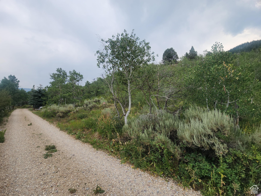 4060 E WILDLIFE WAY Kamas, UT 84036