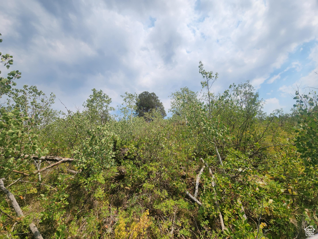 4060 E WILDLIFE WAY Kamas, UT 84036