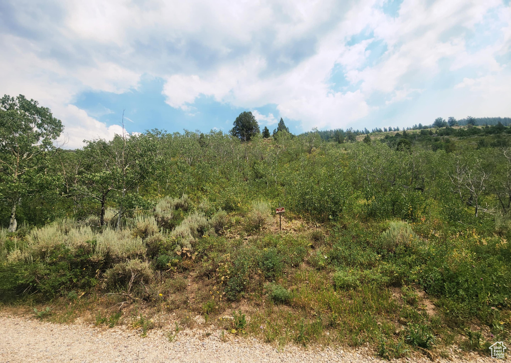 4060 E WILDLIFE WAY Kamas, UT 84036
