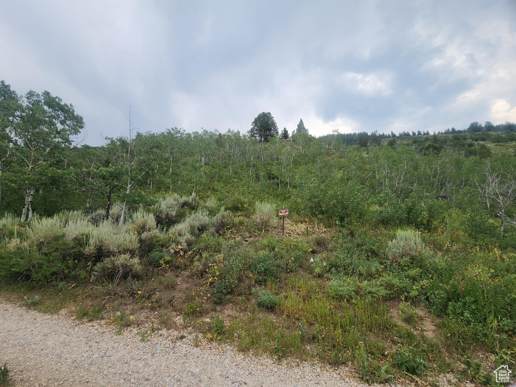 4060 E WILDLIFE WAY Kamas, UT 84036