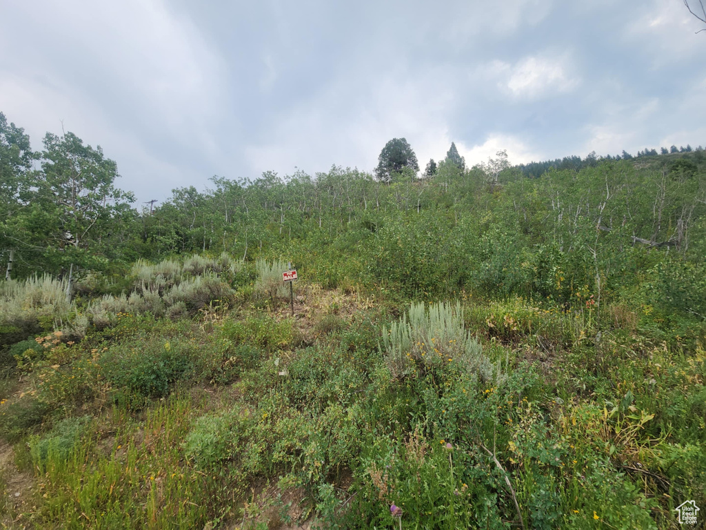 4060 E WILDLIFE WAY Kamas, UT 84036