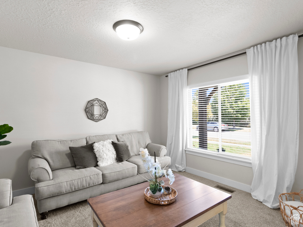 14194 S ROYAL COACHMAN DR Bluffdale, UT 84065