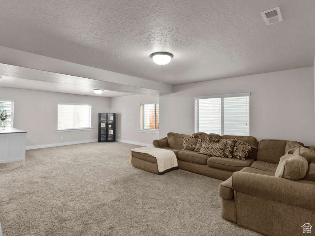14194 S ROYAL COACHMAN DR Bluffdale, UT 84065