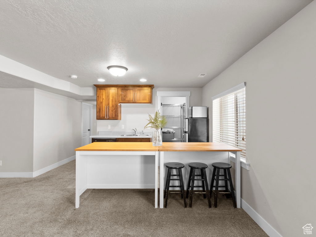 14194 S ROYAL COACHMAN DR Bluffdale, UT 84065